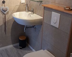 Badkamer met wastafel en toilet in Vakantiehuisje in Scheerwolde, Overijssel.