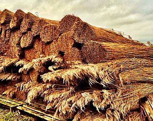 Gestapelde rietbossen nabij Vakantiehuisje in Kalenberg, voor een authentieke ervaring in Noordwest Overijssel.