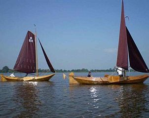 Watervogel in natuurlijke omgeving bij OV271 vakantiehuis, Tuk, Noordwest Overijssel.