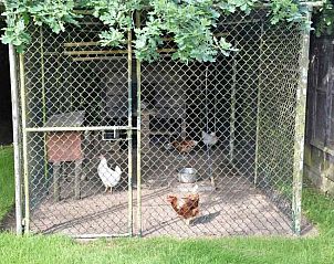 Pittoreske windmolen in de omgeving van OV271 vakantiehuis, Tuk, Noordwest Overijssel.