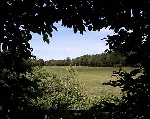 Vakantiehuis in Baars, prachtig uitzicht op groene velden door een natuurlijke opening in Overijssel.