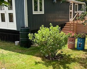 Zonnige tuin rondom Vakantiehuisje in Basse, Noordwest Overijssel, met kleurrijke bloempotten.