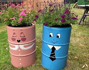 Speelse bloempotten in de tuin van Vakantiehuisje in Basse, Overijssel, voor een vrolijke sfeer.