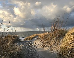 Guest house 5903381 - Holiday property Noord-Beveland - Zeeland-Strandhuis