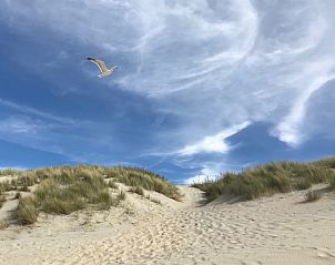 Guest house 5903381 - Holiday property Noord-Beveland - Zeeland-Strandhuis