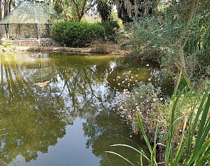 Verblijf 5916008 - Vakantie appartement Mallorca - Petit Hotel Es figueral