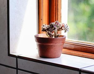 Unterkunft 5927205 - Ferienhaus West-Kaap - A Tuscan Villa Guest House