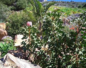 Unterkunft 5927206 - Appartement West-Kaap - A Place in Thyme