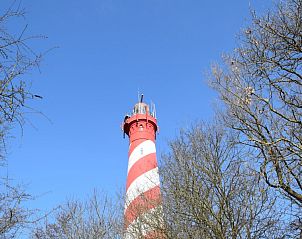 Guest house 6004158 - Holiday property Schouwen-Duiveland - De Fazant