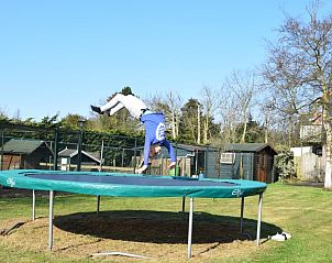 Guest house 6004159 - Holiday property Schouwen-Duiveland - De Wulp