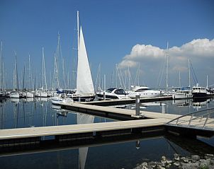 Guest house 600680 - Holiday property Schouwen-Duiveland - Vijver 51