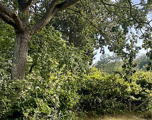 Guest house 600905 - Chalet Schouwen-Duiveland - Vakantiewoning Populierenlaan 13, "Veldzicht"