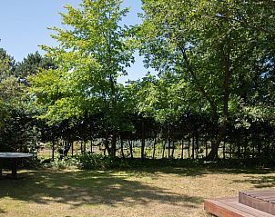 Guest house 600921 - Chalet Schouwen-Duiveland - Natuurhuisje Berkenpad 5