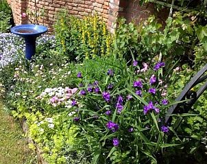 Guest house 603222 - Holiday property Schouwen-Duiveland - "Het Atelier" by the sea and 300ha woods 