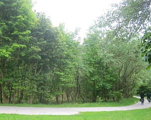 Guest house 603222 - Holiday property Schouwen-Duiveland - "Het Atelier" by the sea and 300ha woods 