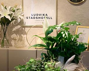 Verblijf 6117201 • Vakantie appartement Svealand • Ludvika Stadshotell 