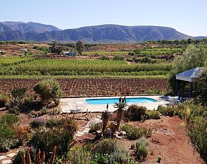 Unterkunft 6127206 - Ferienhaus West-Kaap - Calitzdorp Country House