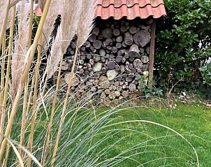 Guest house 620503 - Bungalow Walcheren - Dishoek 6a