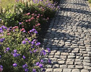 Guest house 621153 - Holiday property Walcheren - &#8216;Zeewinde&#8217;