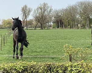 Guest house 621153 - Holiday property Walcheren - &#8216;Zeewinde&#8217;