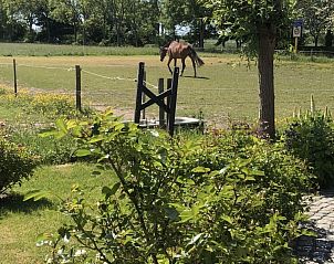 Guest house 621153 - Holiday property Walcheren - &#8216;Zeewinde&#8217;