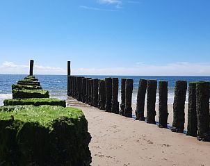 Guest house 621408 - Holiday property Walcheren - Vakantiewoning Meidoorn