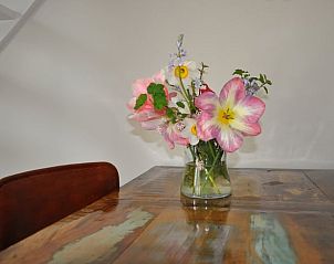 Guest house 623101 - Holiday property Walcheren - Vakantiehuis in Nieuw en Sint Joosland