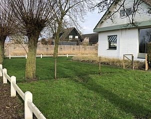 Tuin met bomen bij Heemsdael bungalow in Breskens, Zeeuws-Vlaanderen, perfect voor ontspanning.