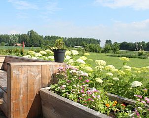 Guest house 640204 - Holiday property Zuid-Beveland - Huisje in Ovezande