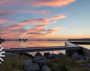 Guest house 641001 - Holiday property Zuid-Beveland - ZE207