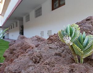 Guest house 6414409 - Apartment Canary Islands - Altamira