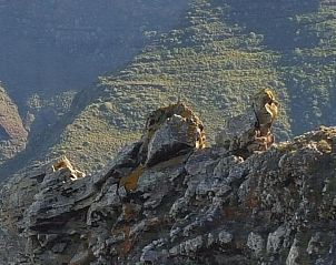 Guest house 6414409 - Apartment Canary Islands - Altamira