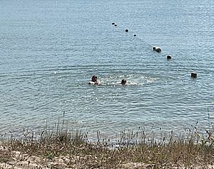 Swimming in the sea near cottage in Borssele, Zuid-Beveland, a perfect activity for summer days.