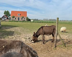 Rural view with farm and animals at cottage in Borssele, South Beveland, ideal for nature lovers.