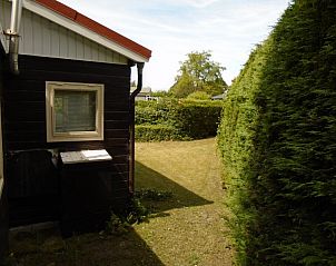 Rustige hoek van de tuin bij Het Zomernest, Ouddorp, met schaduwrijke plekjes.