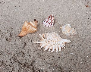 Guest house 6601206 - Chalet Schouwen-Duiveland - Chalet Sunrise met prive strandtuin