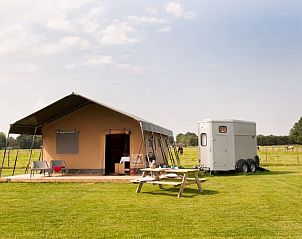 Verblijf 660717 - Tenthuis Goeree-Overflakkee - Ranchtent