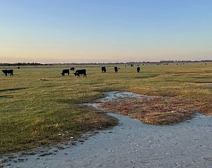 Verblijf 661214 - Vakantiewoning Goeree-Overflakkee - Grevelingenhuisje met sauna