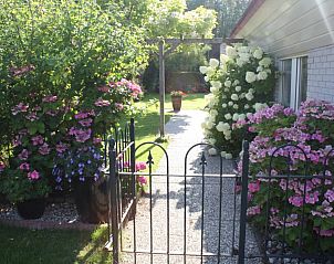 Sfeervolle tuin van Vakantiebungalow Herkingen in Goeree-Overflakkee, Zuid-Holland. Genieten van de bloeiende bloemen.