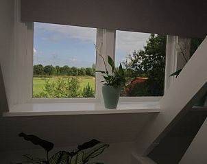 Green view from the window of Huisje in Melissant, vacation accommodation in Melissant, Goeree-Overflakkee, South Holland.