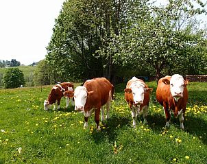 Verblijf 66803301 - Vakantie appartement Beieren - Landhotel Bayerwald