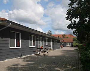 ZH058 vakantiehuis in Rijpwetering met tafeltennistafel naast bloeiende struiken