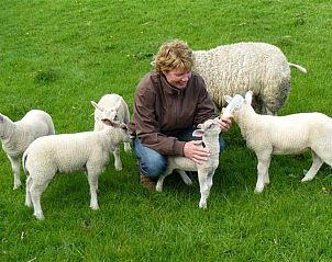 ZH058 vakantiehuis in Rijpwetering met knusse slaapkamer en royale bedden