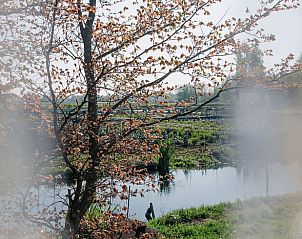 Prachtig uitzicht op de vijver bij Vakantiehuis in Hazerswoude-Dorp, Groene Hart.