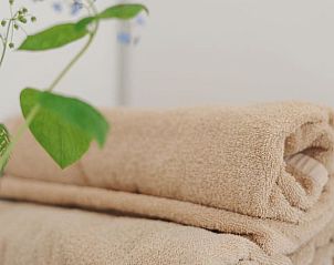 Zachte handdoeken in de badkamer van Vakantiehuis in Hazerswoude-Dorp, Groene Hart.