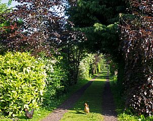 Groene oprijlaan naar Vakantiehuis in Hazerswoude-Dorp, Groene Hart.