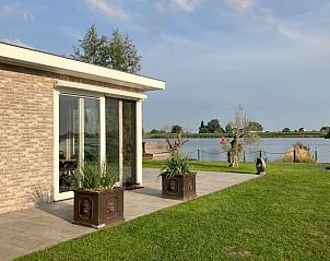 Olijfbomen en terras bij Vakantiehuis in Ammerstol, perfect voor een rustige vakantie.