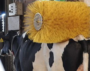 Unterkunft 672819 - Ferienhaus Groene hart - Vakantiehuisje in Leimuiden