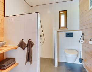 Moderne badkamer in Vakantiehuisje in Ameide met stijlvolle wastafel en douche, Zuid-Holland.