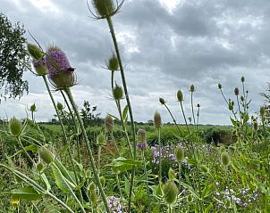 Guest house 674201 - Holiday property Groene hart - Huisje in Noorden